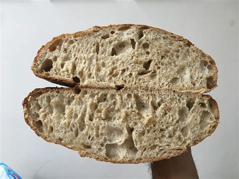 normal underproof  overproof  fresh loaf