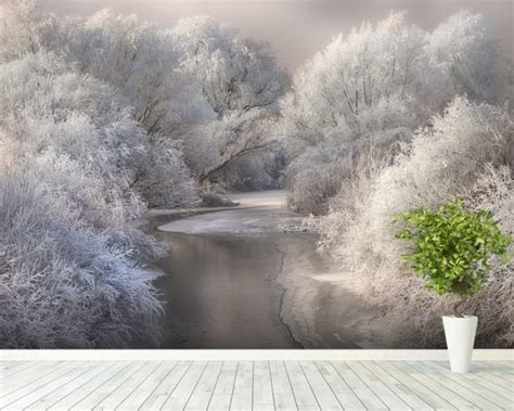 Winter Trees Wall Murals Winter Trees Wallpaper Wallsauce Uk