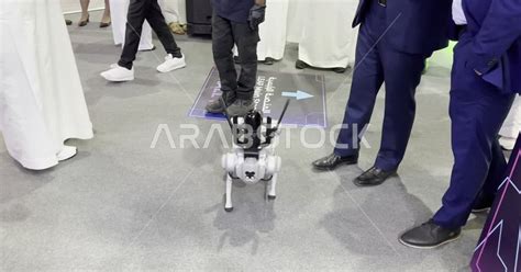 A Mobile Robot Device At The LEAP Exhibition Towards New Horizons