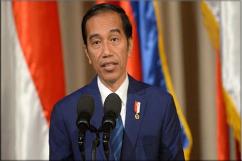 Biografi Ir H Joko Widodo Lengkap Kisah Hidup Dan Karir Novriadi