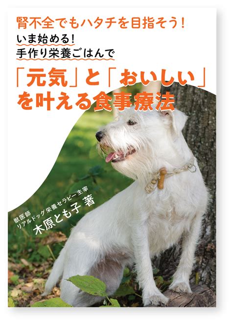 犬の腎不全の手作り食は、食材ではなくバランスがとっても大事です。 手作り栄養ごはんで愛犬のハタチを叶える！リアルドッグ栄養セラピー