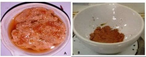 A Precipitated mucilage B. Isolated mucilage in fine powdered form | Download Scientific Diagram