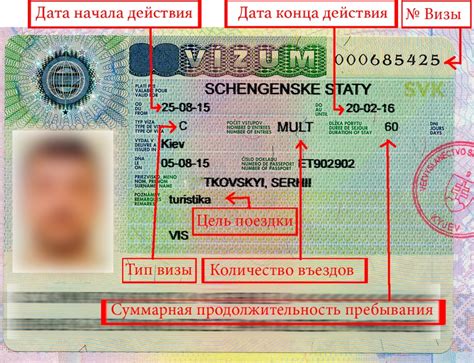 A, B, C, D: разбираемся в видах шенгенской визы | Passportes | Дзен