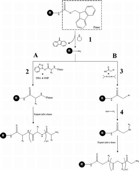 Comparison Between The Classical Fmoc Peptide Synthesis A And The