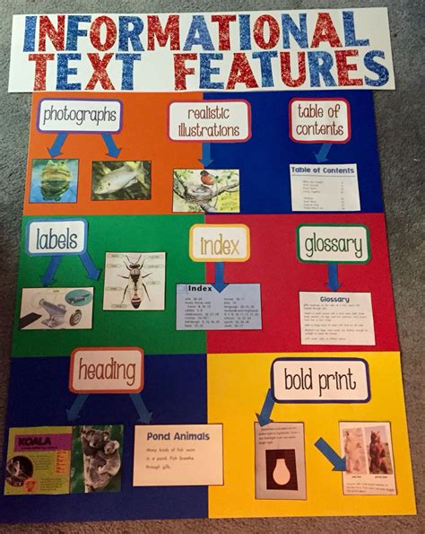 Informational Text Features Anchor Chart I Made For My Kindergarteners