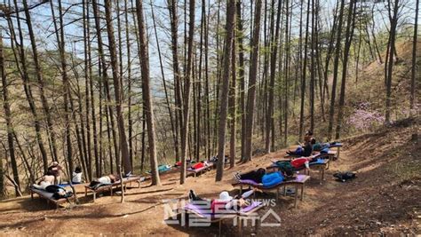 [시선 집중] 자연ㆍ건강 품은 생거진천 치유의 숲… 힐링여행으로 제격