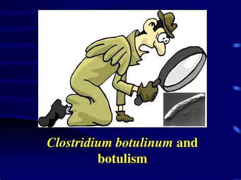 Ppt Clostridium Botulinum And Botulism Powerpoint Presentation Free