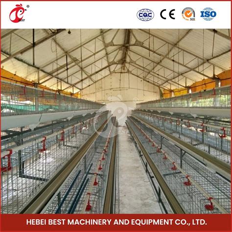 Bestchickencage Layer Poultry Cages China Poultry Chicken Layer Cage