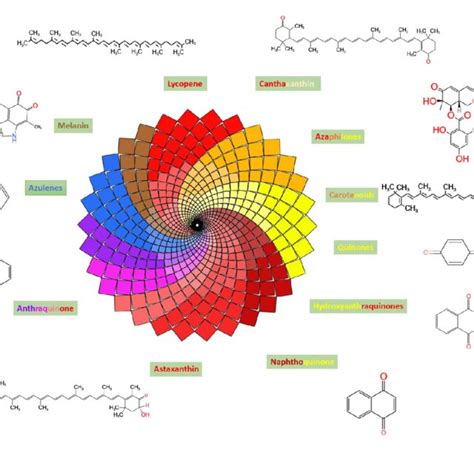 Fungal Pigments Carotenoids And Polyketides Exhibiting Their Color