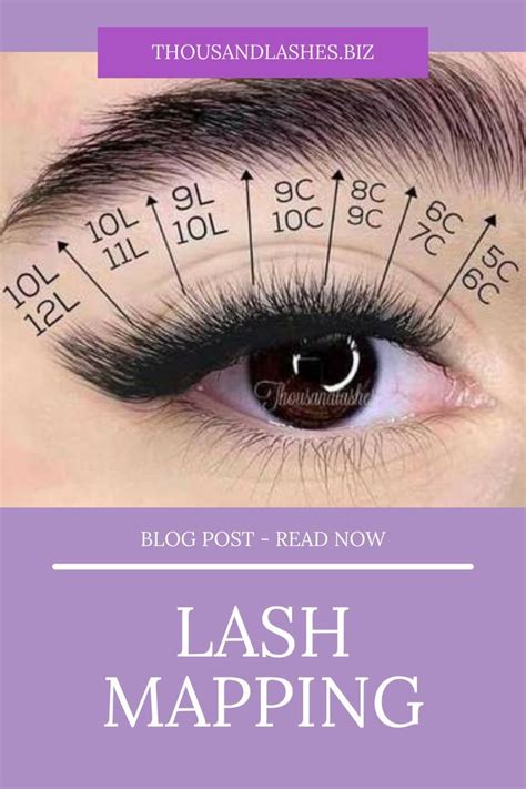 A Comprehensive Guide To Lash Mapping Eyelashes Lashes Eyelash