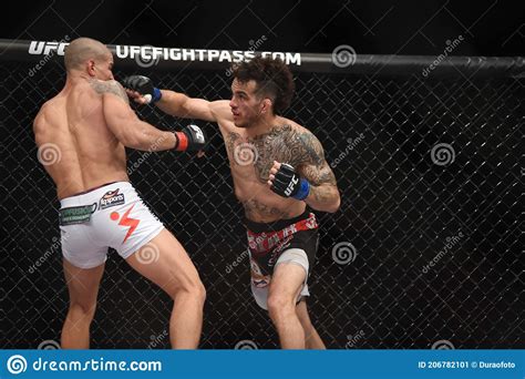 Ultimate Fighting Championship - UFC Editorial Photo - Image of boxe ...