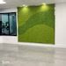 Custom Reindeer Moss Wall Green Wallscapes Reindeer Moss Wall Moss Wall