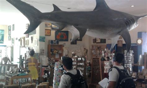 Replicas Liticas De Baja California Sur Melissa Marty Reina De Nuestra Belleza Latina