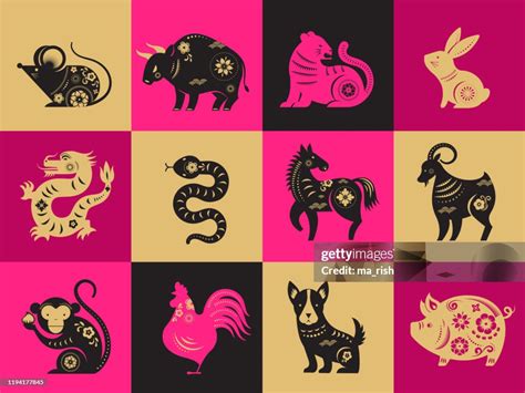 Chinese New Year Zodiac Signs Papercut Icons And Symbols Vector ...