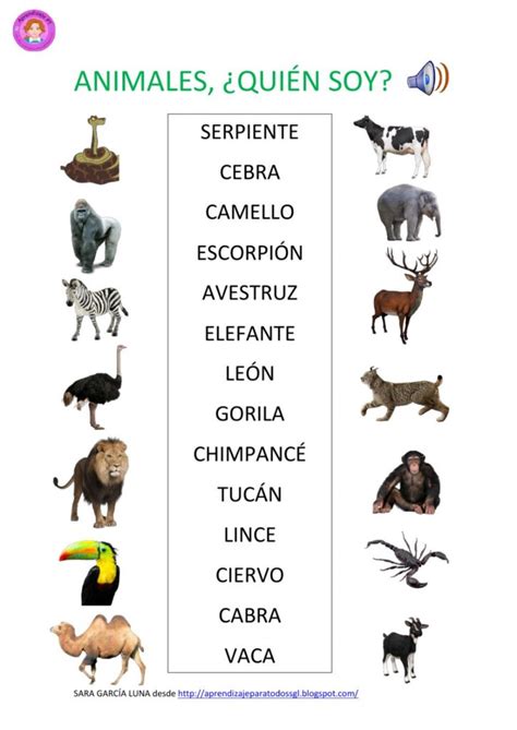 Animales Importantes Para El Ecosistema Colombia Verde