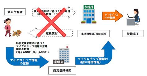 犬のマイクロチップ装着に関する狂犬病予防法の特例制度の適用について藤枝市ホームページ