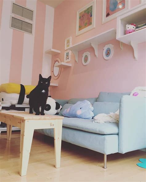 Kawaii Kitty Cafe A Cat Cafe For Queen Village