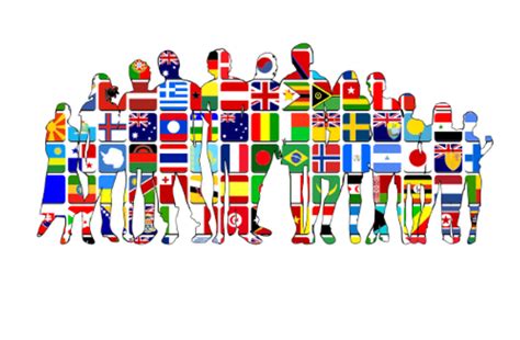 impacts  immigration  culture cultural studies