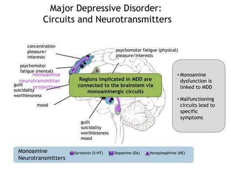 Neuro Modulation Power Point Ppt