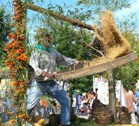 Fiera Del Riso Fino Al Ottobre A Isola Della Scala Geisha Gourmet