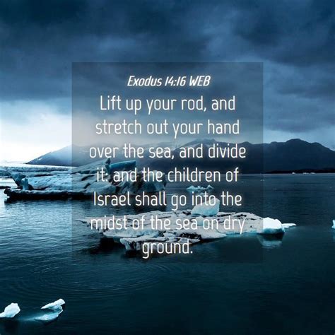 Exodus 1416 Web Lift Up Your Rod And Stretch Out Your Hand Over