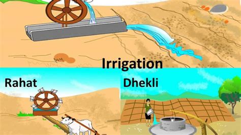 Traditional Irrigation