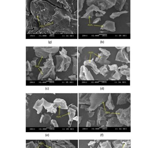 Sem Micrograph Of Alumina Nanoparticles Sintered At Different Download Scientific Diagram