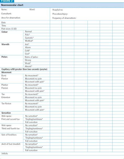 Neurovascular Chart A Visual Reference Of Charts Chart Master