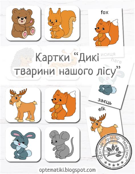 Освітній простір ТЕМАТИКИ: Картки "Дикі тварини нашого лісу"