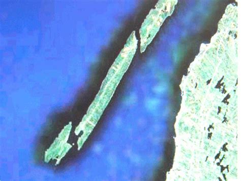 The new long island island bridge has a surprising modern design