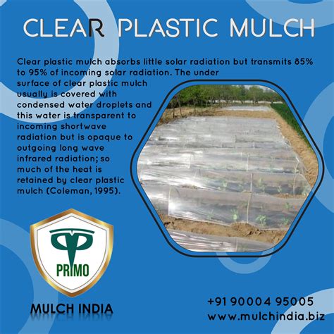 MulchIndia Clear Plastic Mulch Mulch India Call 𝟵𝟭 𝟵𝟬𝟬𝟬𝟰𝟵𝟱𝟬𝟬𝟱