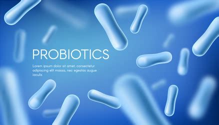 Probiotics Types Poster Royalty Free Vector Image