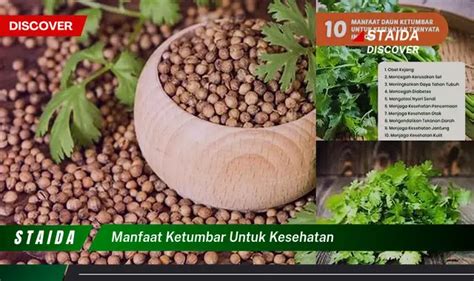 Temukan Manfaat Ketumbar Untuk Kesehatan Yang Jarang Diketahui Dan