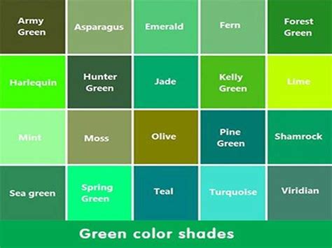 Pin by Riya Lobo on riyal | Green color names, Green color chart ...