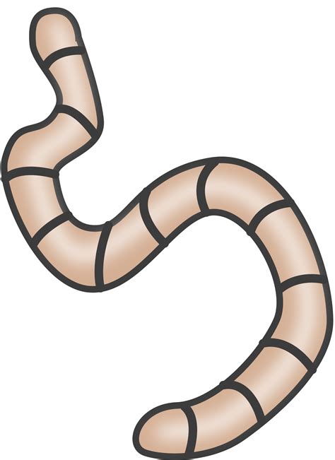 Clipart Earthworms