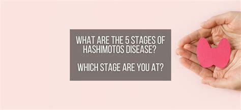 The 5 Stages Of Hashimotos Disease Which Stage Are You