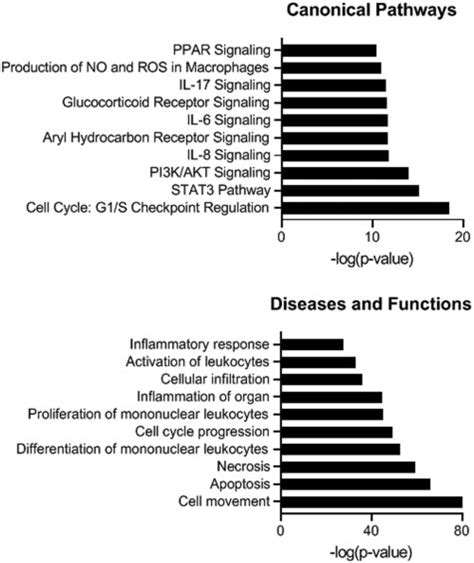 Ingenuity Pathway Analysis Ipa Of Micrornas Mirnas An Ipa Core