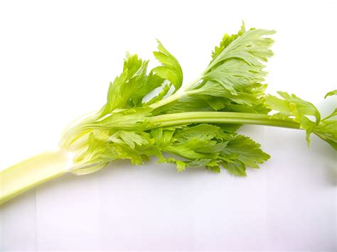 What Are The Benefits Of Eating Celery Before Bed Pricepro Pharmacy