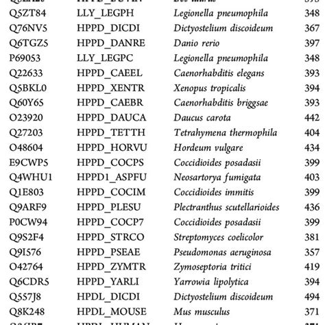 Simplified catalytic mechanism of HPPD: (1) formation of HPPD−HPPA ...