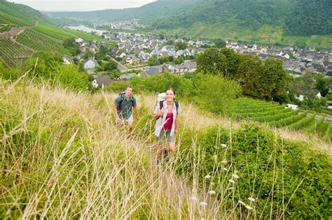 Rheinburgenweg Etappe Winningen Bassenheim S D Nord