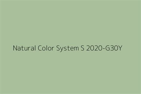 Natural Color System S 2020 G30y Color Hex Code