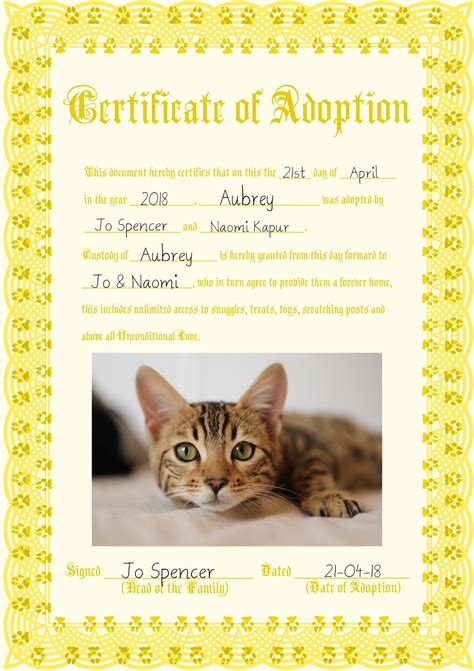 Cat And Kitten Couples Adoption Certificate Yellow Etsy New Zealand