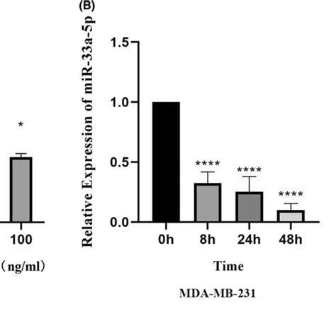 Vaspin Inhibited The Expression Of Mir A P In Breast Cancer Cells