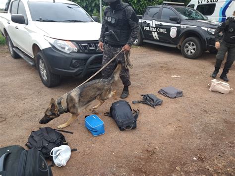 Segurança Faz Bloqueio Em Rodovias Do Acre Com Cães Farejadores Em