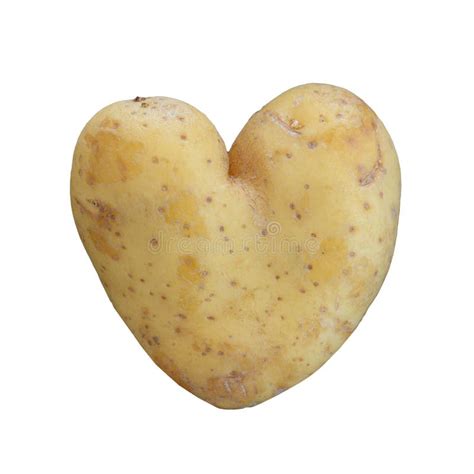 Hart Gevormde Aardappel Stock Foto Image Of Groei Hoek 99900690