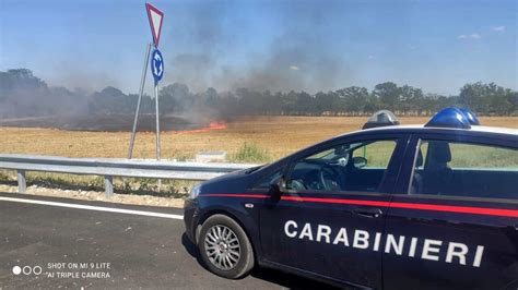 Le Sterpaglie Di Un Terreno In Fiamme Fiamme Fumo E Aria Irrespirabile