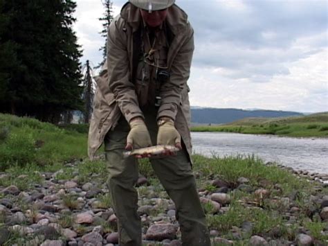 Slough Creek - Fly Fishing Yellowstone National Park