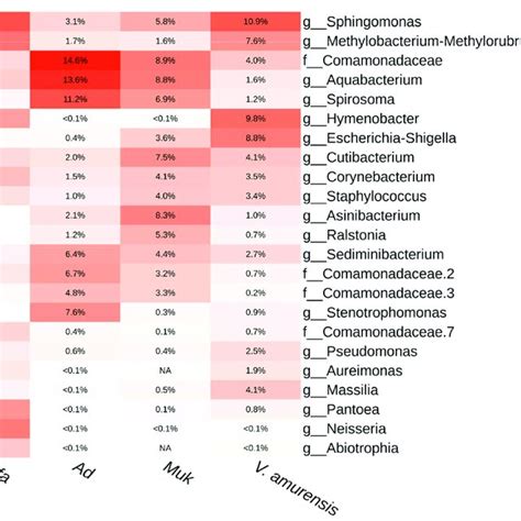 Genus Level Relative Endophytic Bacteria Abundance Heat Map Of Download Scientific Diagram