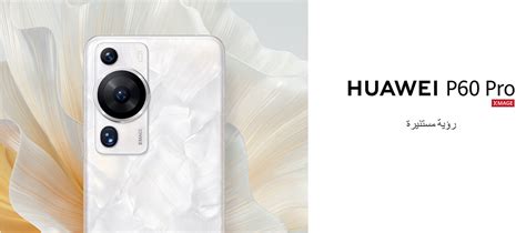 Huawei P60 Pro Mate X3 8253