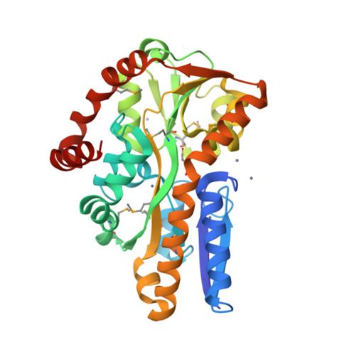 Rcsb Pdb Dsy Crystal Structure Of C Dicarboxylate Binding